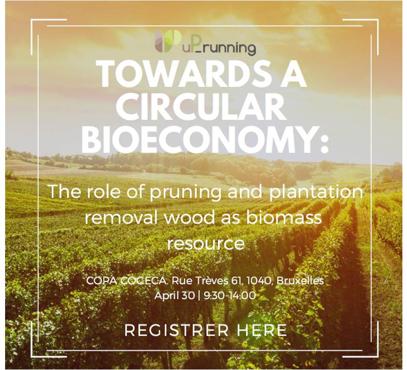 30th April 2019:Up_Running final EU Event in Brussels: “Towards a circular BIOeconomy in fruit, olive and wine sectors: the role of pruning and plantation removal wood as biomass resource”